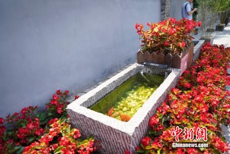 ���������һҳ