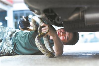 ���������һҳ