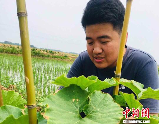 图为平东林检查农作物生长情况。 张文清 摄