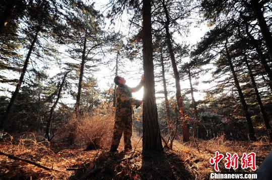 ��С��˵���������һ��һľ���ر������Լ��ֵ�������С���ų��󣬾����Լ��ĺ��ӣ��и����ˡ������� ��