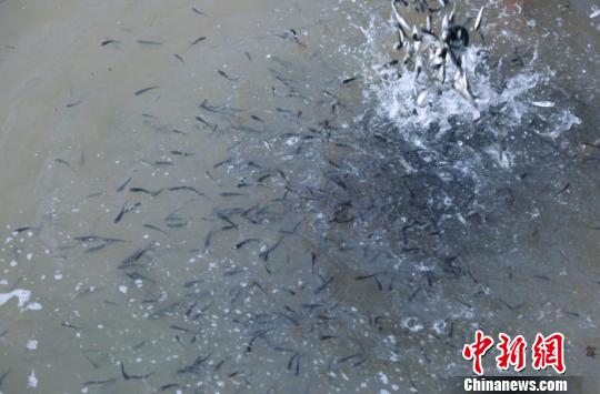 �Ĵ���㻶��������϶�ͥ���������� ��