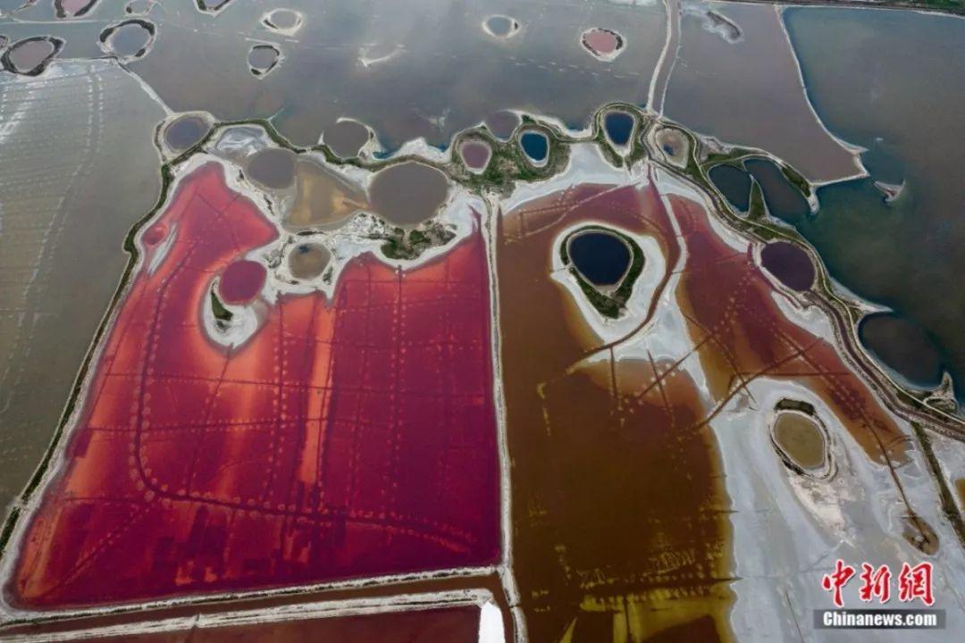 ���������һҳ