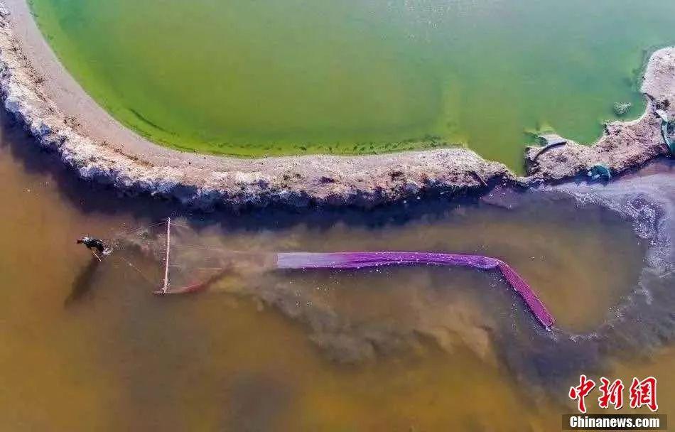 ���������һҳ