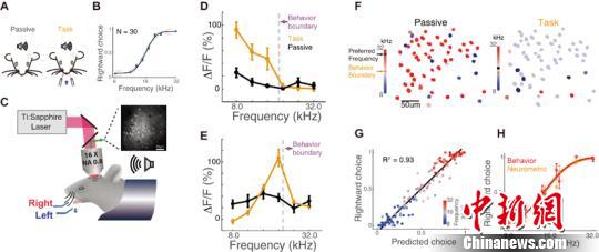 ������ʶ�����й���ѧ�ҽ�ʾ�������������롱