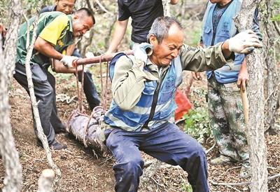 ���������һҳ