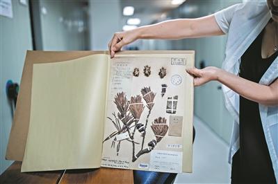 点击进入下一页