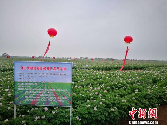 ͼΪ�̶���׳�۵���������ֲ�������ƽ ��