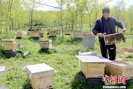 ����¤��ũ������ɽ��ɽ���ɽ軨����¸�·