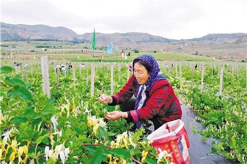 ���������һҳ