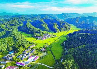 ���������һҳ