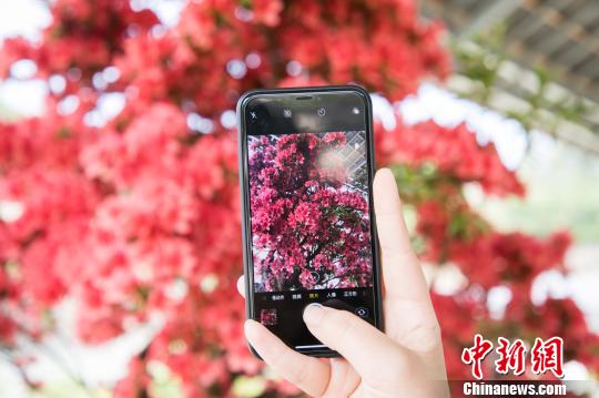 �ο��������� �ɷ� ��