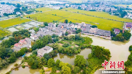 ������ԭò �ɷ� ��