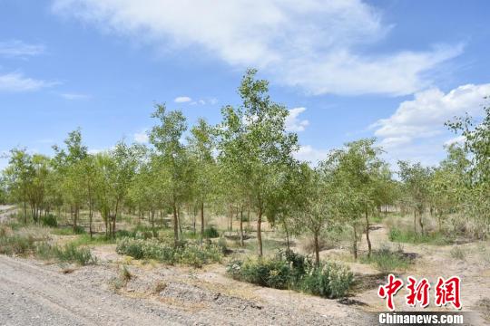 ͼΪ��������Ĺ������˹�������������κ���� ��