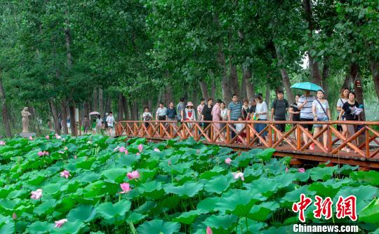 ����΢ɽ�����ʪ�ؾ���ÿ�����������ο�300���˴�ǰȥ�۹����Ρ�����΢ɽ�����ʪ�ؾ��� ��ͼ