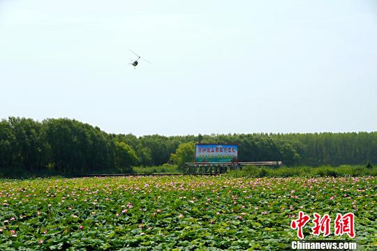 ɽ������΢ɽ�����ʪ�ؾ���ʮ����Ķ�������ʢ�š������� ��