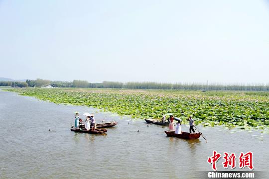 �ο��Ŵ�ͳ������ɽ������΢ɽ�����ʪ�ؾ���������������� ��