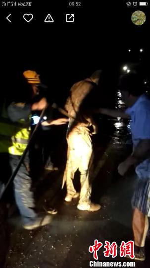 ͼΪ������Ԯ�ֳ������Ա��� ��