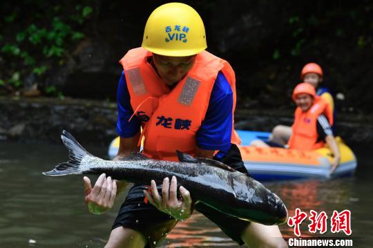 ���������һҳ