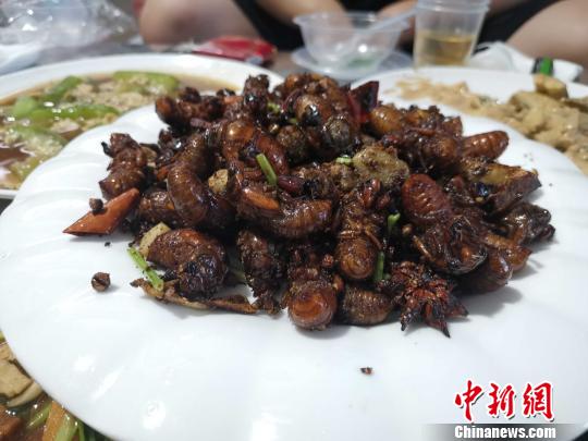 图为麻辣金蝉。 郝学娟 摄