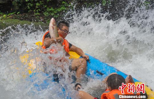 ���������һҳ