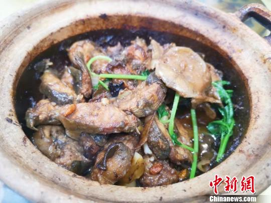 �㶫����̨ɽ�ļ�������ɫ�ɲ�