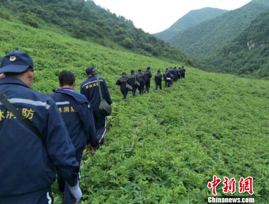 ��������������ƽ�Ͷ�Ա��һ����ɽֲ�����������磬ɭ��ֲ��������������̬����Ҳ���Ը��ơ�ͼΪ���ֶ�Ա���ճ�Ѳɽ�������� ��