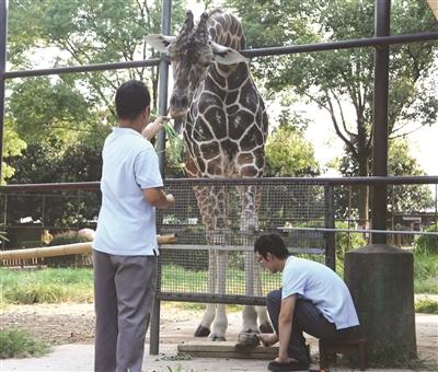 ���������һҳ