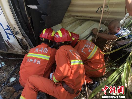 ͼΪ��Ԯ�ֳ� ����� ��