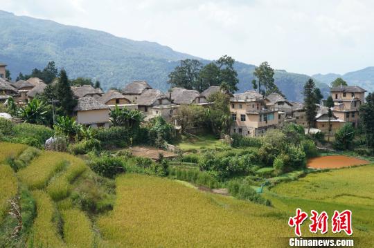 ͼΪ���߿ƴ� ������ ��