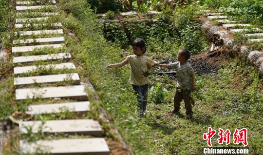 ͼΪ�����ڴ��ڵ�С�� ������ ��