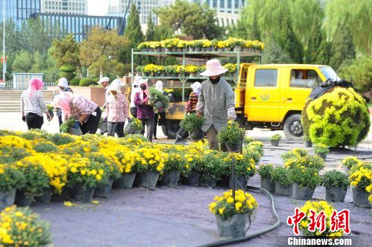 花卉工人正在摆放花卉造型。 于晶 摄
