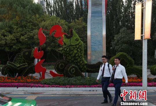 100万盆鲜花扮靓银川街头喜迎中阿博览会