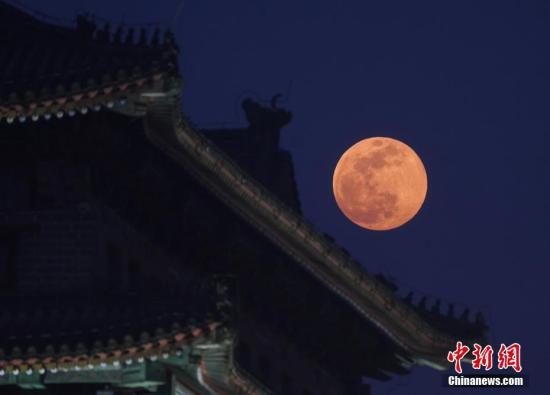 ���������һҳ