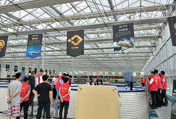 ������ũ������ֳ��Ŀ