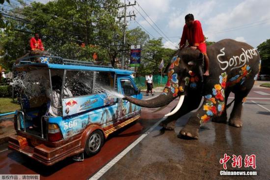 资料图：泰国旅游景点，大象向一个车辆里喷水。