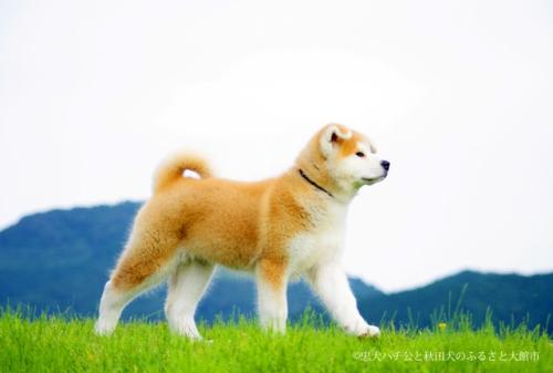 ��Դ�����й�����