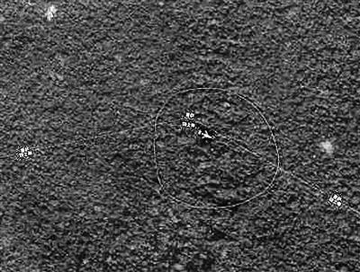 ���������һҳ