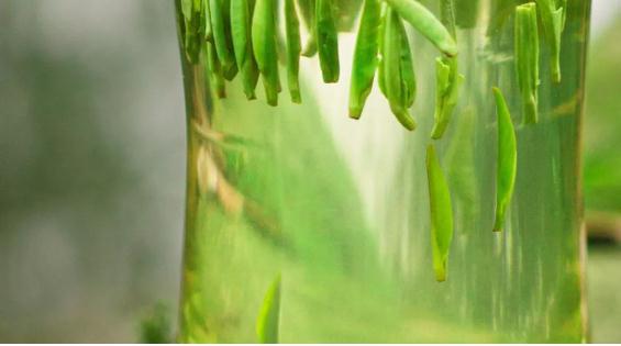 Ϊʲô��Ҷ����й����輸�������Ը�ɽ