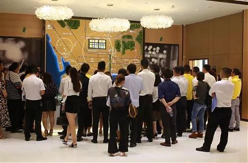 �����ʲ��������ڴ����ƽ��չ��ڼ�����������