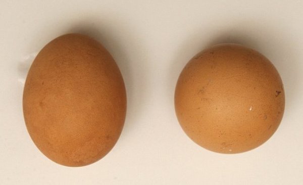 Ӣ��ĸ�����£�Բ��������700��Ԫ