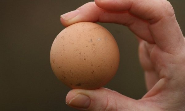 Ӣ��ĸ�����£�Բ��������700��Ԫ