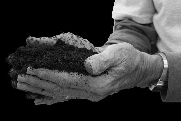 ����ϵ������Ůʿ�������໷����Ŀ����ʬ���Ƴɷ���