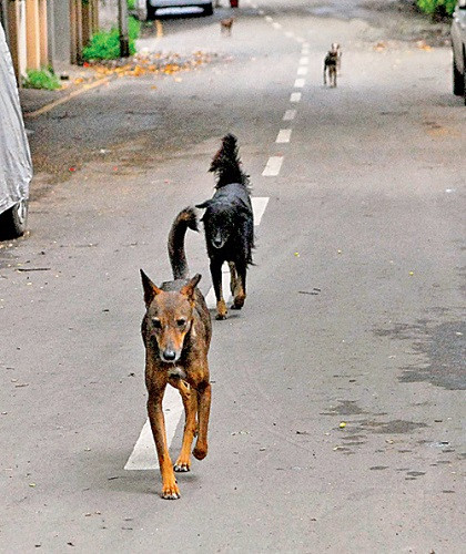 Ů����ǰ����ȥ�������˹��μ������¾���