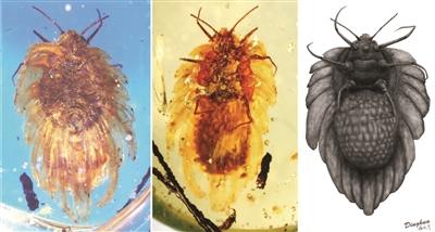 ���������һҳ