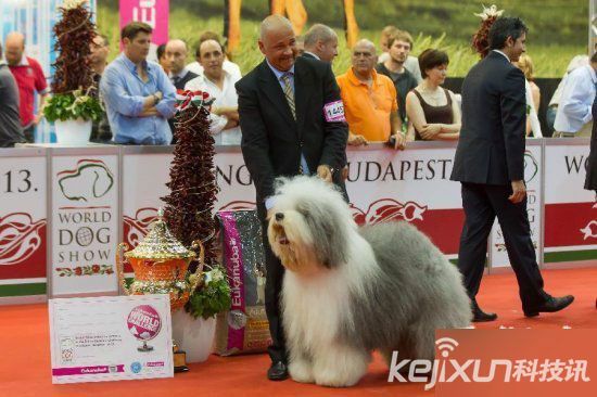 ȫ��ʮ�󡰳�����������