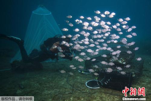 ���������һҳ