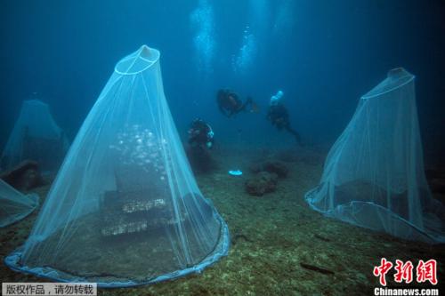 ���������һҳ