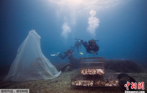 ���������һҳ