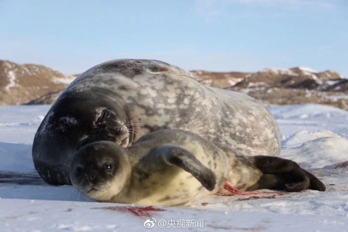 �ȷ����ϼ���ɽվ����С��������(��ͼ)