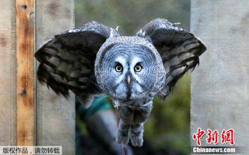 ���������һҳ